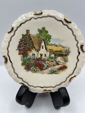 VTG MINI BLUE WATER FINE BONE CHINA ENGLISH COUNTRY HOME COLLECTOR PLATE picture