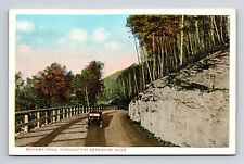 WB Postcard Berkshire Hills MA Massachusetts Car on Mohawk Trail picture