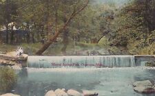 Owatonna Minnesota MN Mineral Springs Park Postcard D32 picture