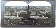 Keystone Stereoview Jerusalem, Palestine from Mount of Olives of T400 Set #T226 picture