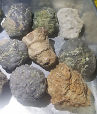 (Each 1-lb LOT) = ( 7 to 8 Uncut Whole Thundereggs ~ FASTER SHIPPING & HANDLING) picture