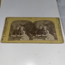 Innocent Young Girls Hugging Stereoview Card: May Flowers - Boston 99 Cent Store picture