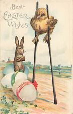 c1905 Fantasy Anthropomorphic Chick Walking Stilts Rabbit Eggs Easter P391 picture