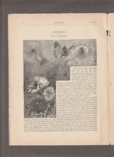 1881 SPIDERZEE Magazine Pages STORY & ARTWORK~Fairy~ALFRED FREDERICKS~Underhill picture