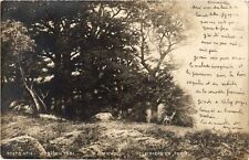 CPA AK Salon 1901 F.E. MICHEL forest clearer (707421) picture