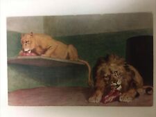 Feeding Time At The Zoo Mr & Mrs Leo Very Busy Lions Vintage Postcard picture