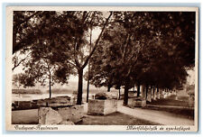 Budapest-Aquincum Hungary Postcard Landmarks Parks Trees Scene c1920's picture