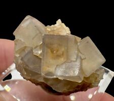 Quartz & Fluorite Xls : Le Franciman Mine. Albi, Tarn, Occitanie, France 🇫🇷 picture