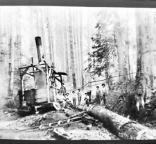 1907 Photo Negative Loggers on Donkey Yarder Acme Logging Camp Acme Washington picture