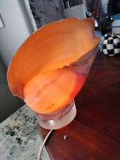 Vintage 1950's Sea Shell Lamp Conch Shell Table Lamp With Lucite Base picture
