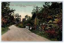 Lee Massachusetts MA Postcard Cold Spring On Tyringham Road Dirt Road 1914 picture