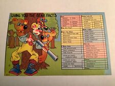  Postcard Giving You The Bear Facts Man Hunting Gun Cartoons Comic Unposted picture