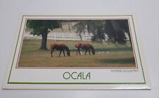 Postcard Horse Country Ocala Florida USA Green Pastures White Fences Unposted  picture