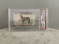 N163 Goodwin, Dogs of World, 1890, Great Dane PSA Graded EX-MT 6 picture