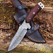CUSTOM HAND FORGED DAMASCUS STEEL HUNTING SKINNER KNIFE ROSE WOOD HANDLE 764 picture