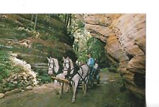 Wisconsin Dells, Wisconsin, Lost Canyon, Horses in view. picture