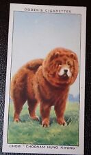 CHOW CHOW  CRUFTS CHAMPION  Original 1930's Vintage Coloured Card  BD11M picture