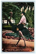 1916 South Pasadena CA Cawston Ostrich Farm Postcard Riding 