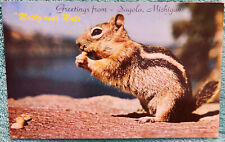 Greetings From Sagola Michigan Ground Squirrel 1960's Unused Vintage Postcard picture