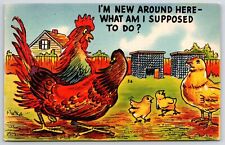 I'm New Around Here What Am I Supposed To Do? Rooster And Hen Talking Postcard picture