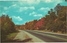 Scenic View of Trees Along The Road In Fall, Fall Majesty Postcard picture