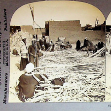 Sugar Cane Bazaaar Aswan Assuan Egypt Photograph Keystone Stereoview Card picture