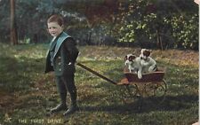 Tuck's Cute Little Boy Pulls Puppies in Wagon The First Drive Vintage Postcard picture