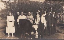 RPPC Large Group + Boy Holding Cow on Rope c. 1900s  picture