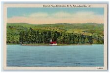 c1940's Point Of Pines Burnt Lake NY Unposted Adirondacks Mountains Postcard picture