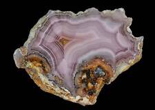 Amazing Banded Laguna Agate From Mexico Collectors Grade Extreme Parallax picture