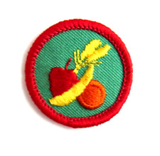 NEW 1980, HEALTHY EATING, Girl Scout Red Worlds-Explore Badge Fruit  picture