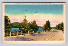 Endicott NY-New York, George F Johnson Highway, Antique Vintage Postcard picture