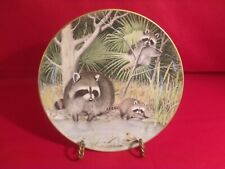 The Woodland Year Curious Racoons Plate picture
