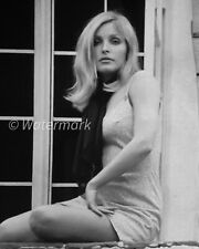 8X10 PUBLICITY PHOTO - Sharon Tate Vintage Hollywood 1960s - Celebrities picture