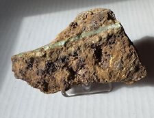 Turquoise, from Hatchita, Eureka District, Grant County, New Mexico picture