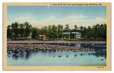 Postcard - Pine Bluff Lily Pond and Hospital near Salisbury Maryland MD picture