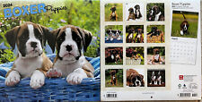 2024 Boxer Puppies 12x12 Wall Calendar  picture