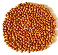 Wholesale Lot 11000 Pieces 7 mm Rudraksha Loose Beads for Jewelry Making craft picture