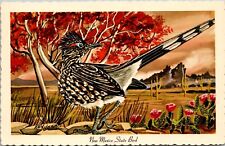 Postcard NM: Roadrunner, New Mexico State Bird, Unposted picture