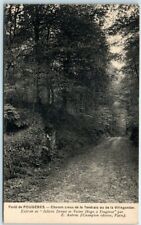Postcard - Hollow path of Tendrais or Villegontier - Forest of Fougères, France picture