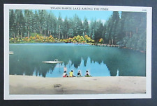 Twain Harte Lake Among the Pines Twain Harte CA Unposted Linen Postcard picture