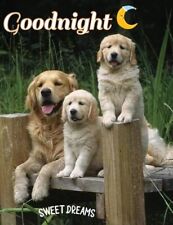 Sweet dream  Good night Golden Retriever dog refrigerator magnet 3 1/2 X4 1/2 picture