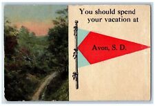 c1910's You Should Spend Your Vacation At Avon South Dakota SD Pennant Postcard picture
