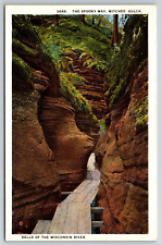 Postcard The Spooky Way Witches Gulch Wisconsin Dells Unposted White Border picture