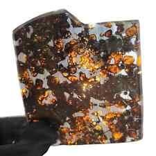 60g SERICHO pallasite Meteorite slice - from Kenya TA347 picture