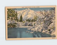 Postcard When Winter Is King Alaska USA picture