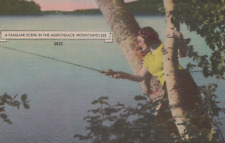 A Familiar Fishing Scene in the Adirondack Mountains Linen Vintage Post Card picture