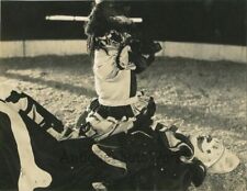 Poodle dog posing on clown antique circus performance photo picture