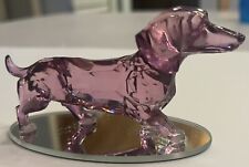 Rarest Gem Dachshunds of The World “Radiance Of The Amethyst” Collection picture