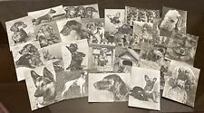 Set 25 pcs Rare Vintage Photo Postcard with Dogs by Erich Tylinek, 1962s picture